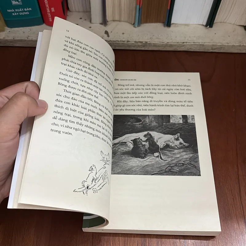 Văn Học Thiếu Nhi: Bông _ Chuyện Đời Con Sóc Xám - Ernest Thompson Seton - ROGER VU (Dịch) 709239