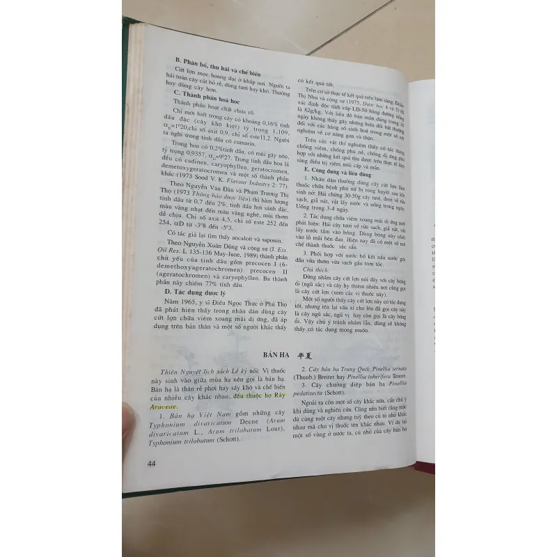 CÂY THUỐC VỊ THUỘC VIỆT NAM  931945