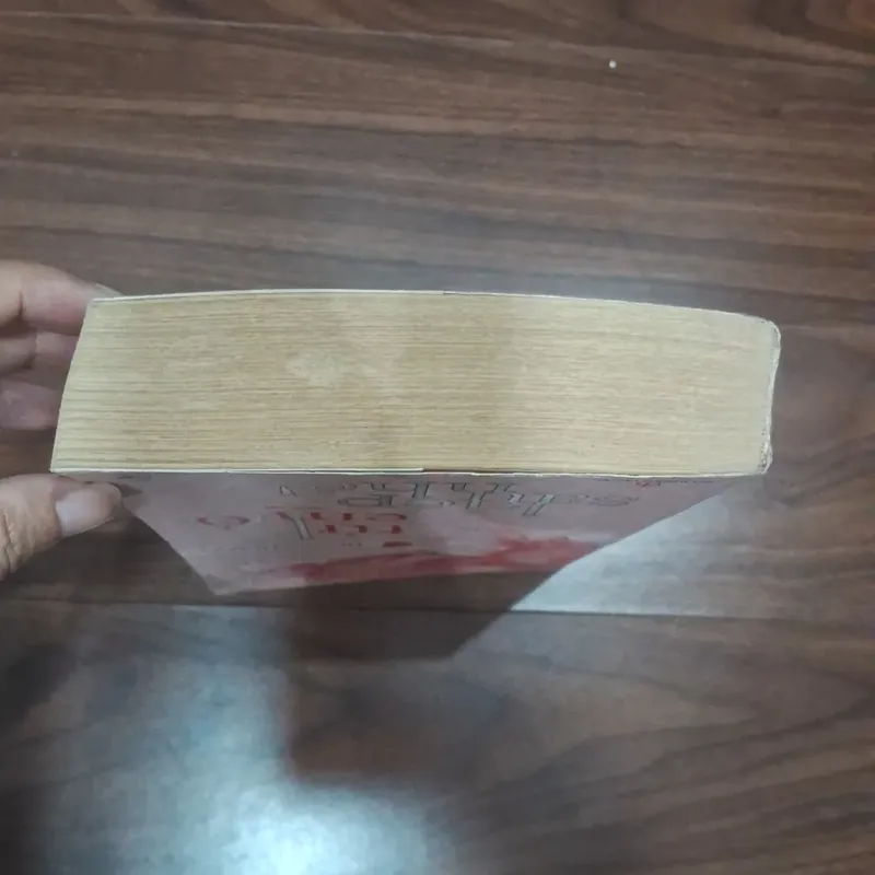 Từ bỏ em kiếp sau nhé 560216