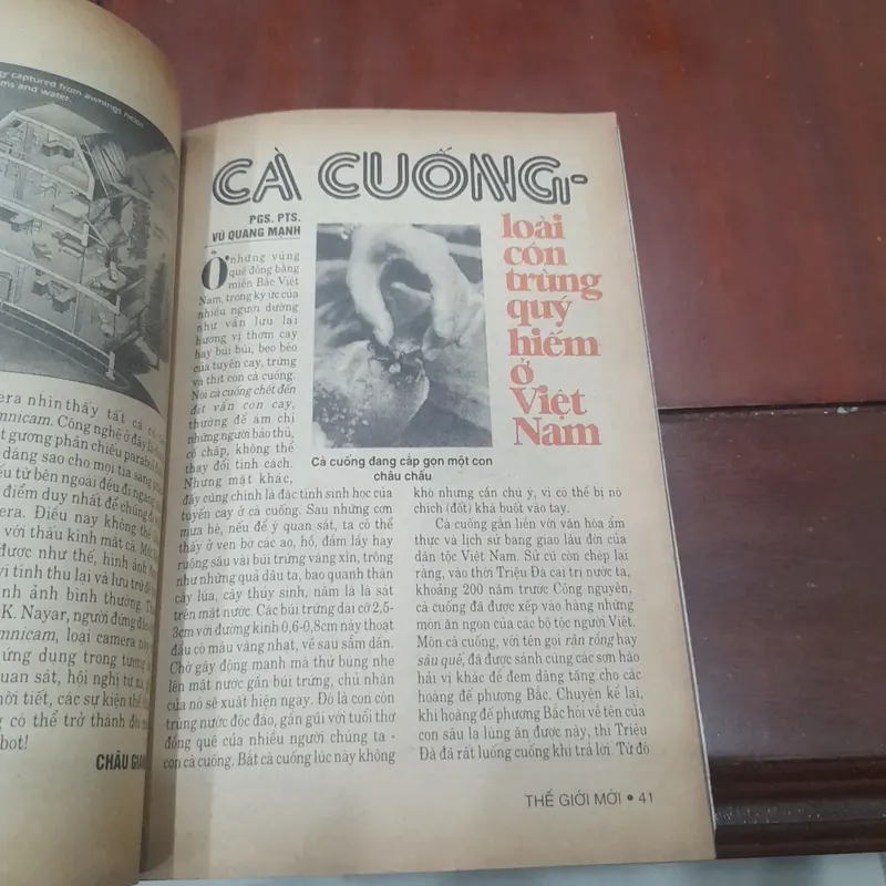 THẾ GIỚI MỚI số 250 ngày 25.8.1997 597845