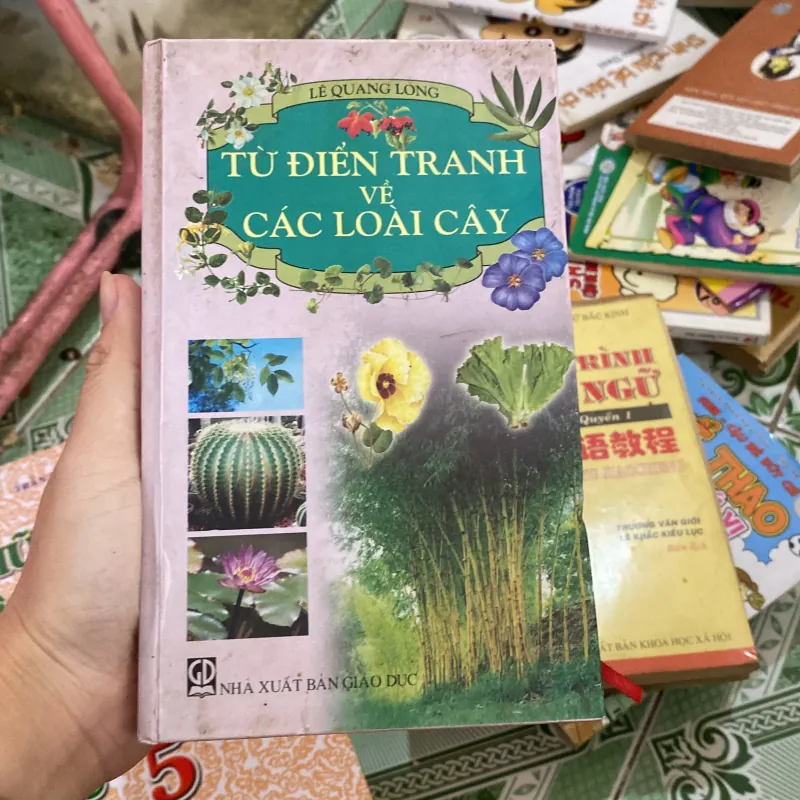 Từ điển tranh về các loài cay 800458