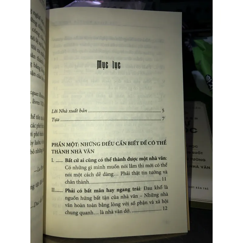 Để thành nhà văn - Thu Giang Nguyễn Duy Cần  753398