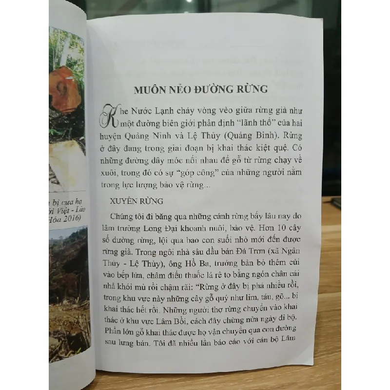 Muôn nẻo đường rừng – Nguyễn Tâm Phùng 560781