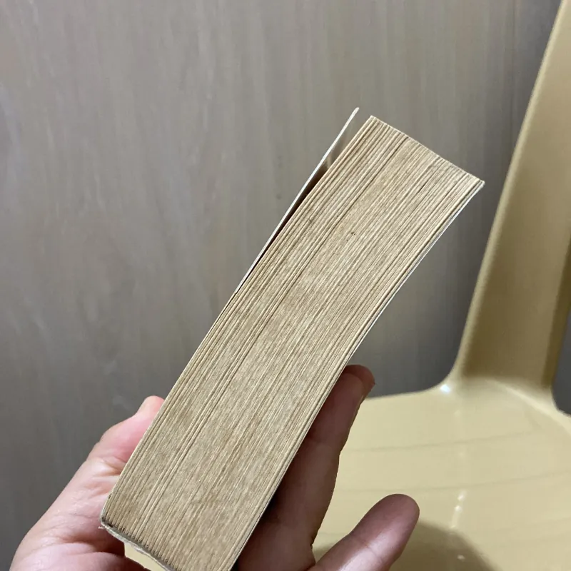 Ốc sên chạy - Điệp Chi Linh 970355