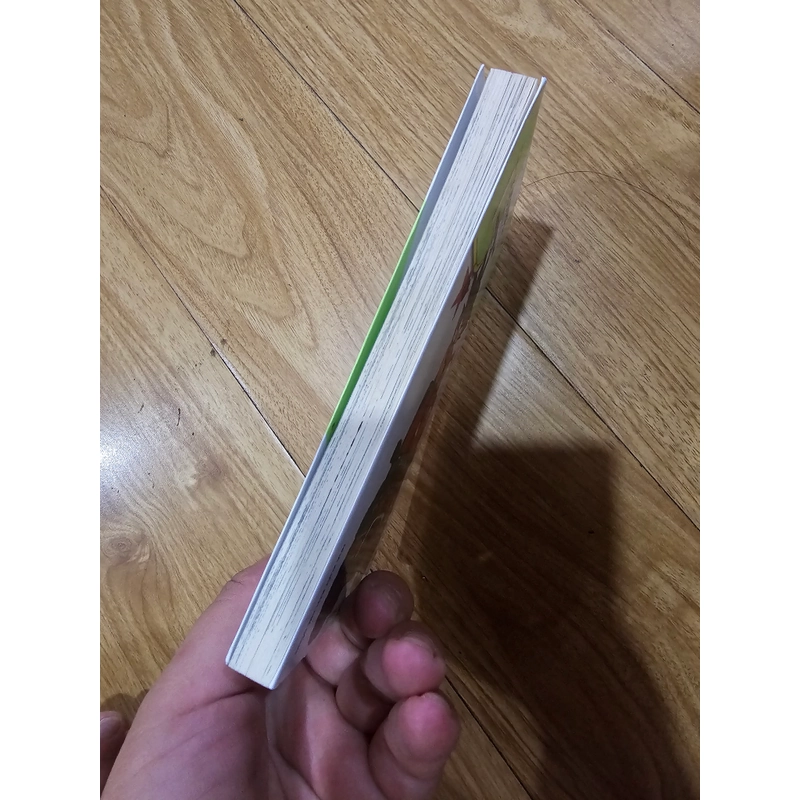 Dragon ball tập 13 443937