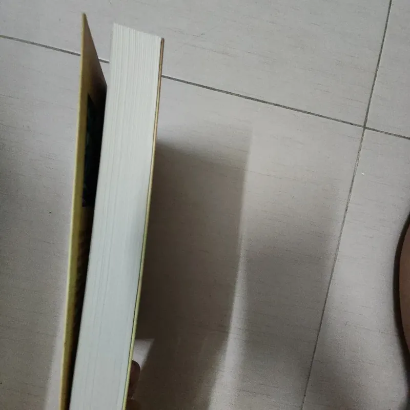 Sách Lời hứa của Damon Galgut 716900