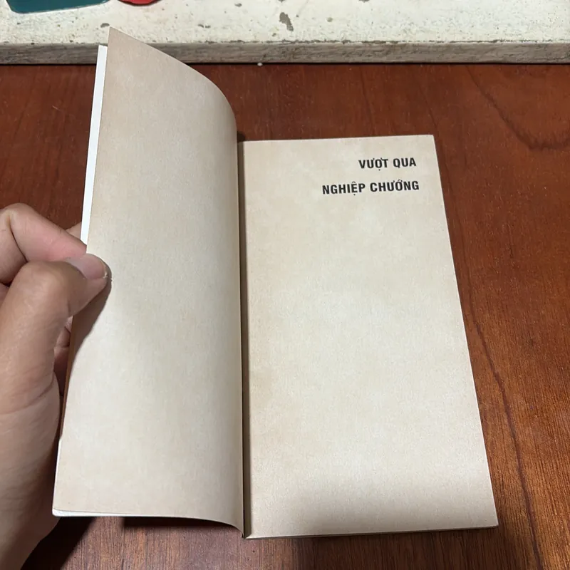 II Sách Phật Giáo: Vượt Qua Nghiệp Chướng - Tỳ Kheo Thích Tuệ Hải - 2007 719534