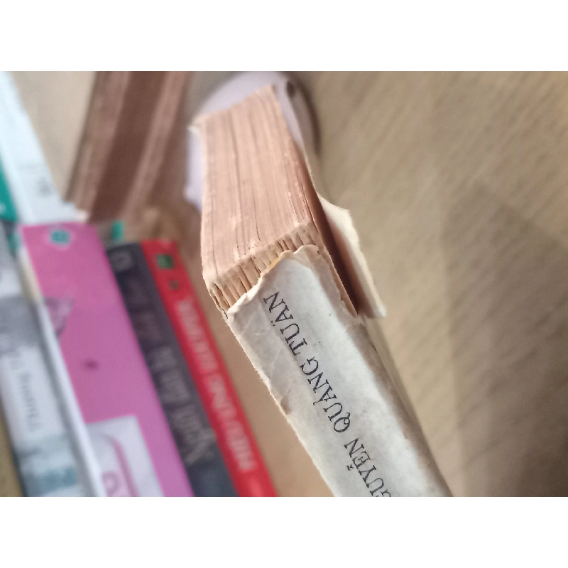 Những ngôi chùa danh tiếng -  Nguyễn Quảng Tuân biên soạn 712089