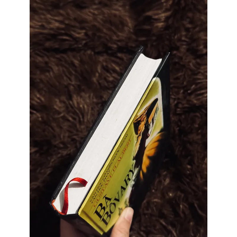 Bà Bovary (bìa cứng) 737310