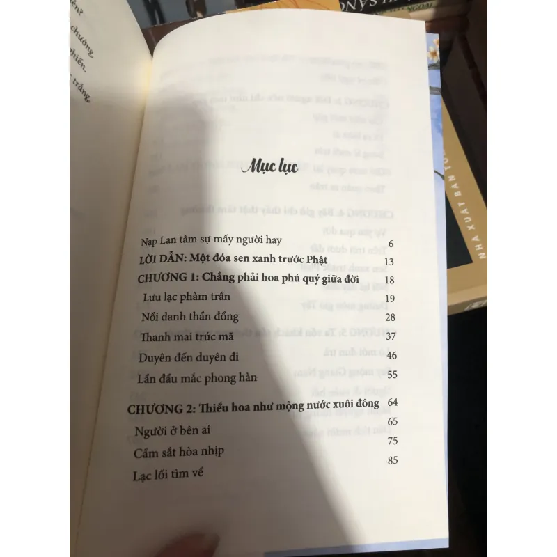 Gió tây bao nhiêu hận, thổi chẳng giãn mày chau 990597