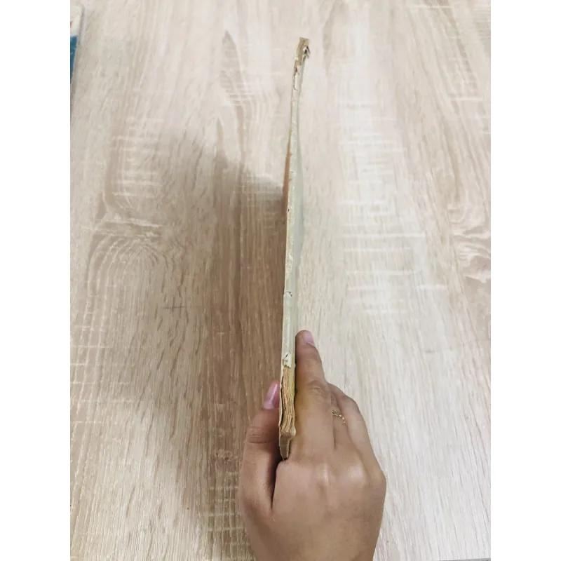 THẰNG NGỐC 1955 929450