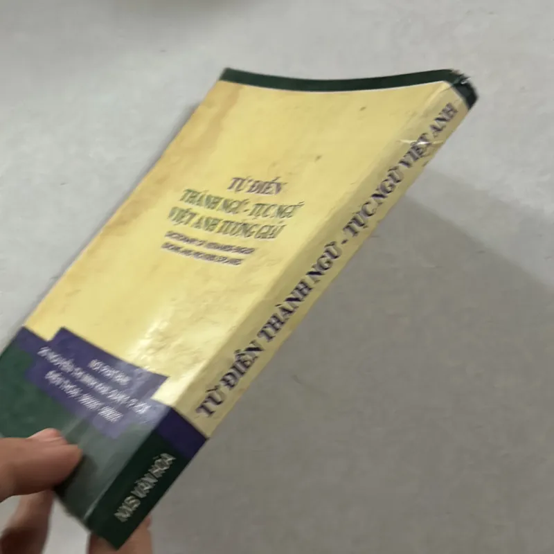 Từ điển thành ngữ - tục ngữ Việt Anh tường giải 721067