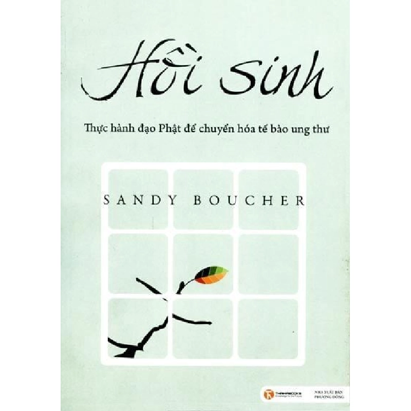 Hồi Sinh - Sandy Boucher ASB.PO Oreka Blogmeo 230225 395630
