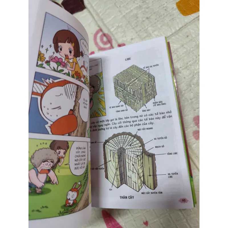 📚 COMBO 8 CUỐN “10 VẠN CÂU HỎI VÌ SAO” – SÁCH THIẾU NHI KHÁM PHÁ THẾ GIỚI - k4 1017727