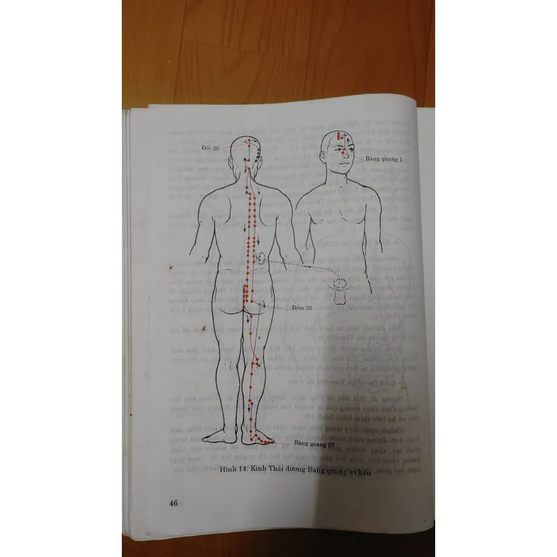 CHÂM CỨU HỌC Trung QUỐC  674270