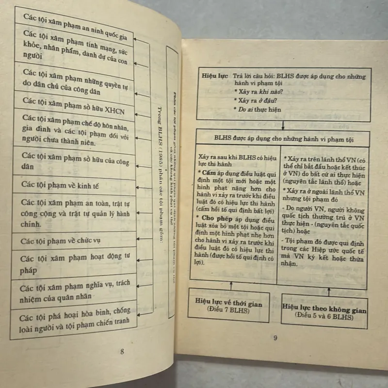 Mô hình luật hình sự Việt Nam - Nguyễn Ngọc Hoà - 1995s 801010