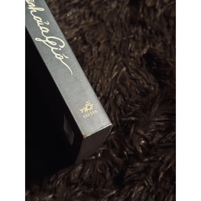 Bóng hình của gió 764320