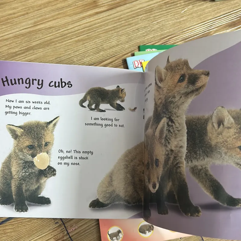 Bộ sách 9 quyển tiếng Anh cho bé See how they grow in màu mới đẹp 1031411