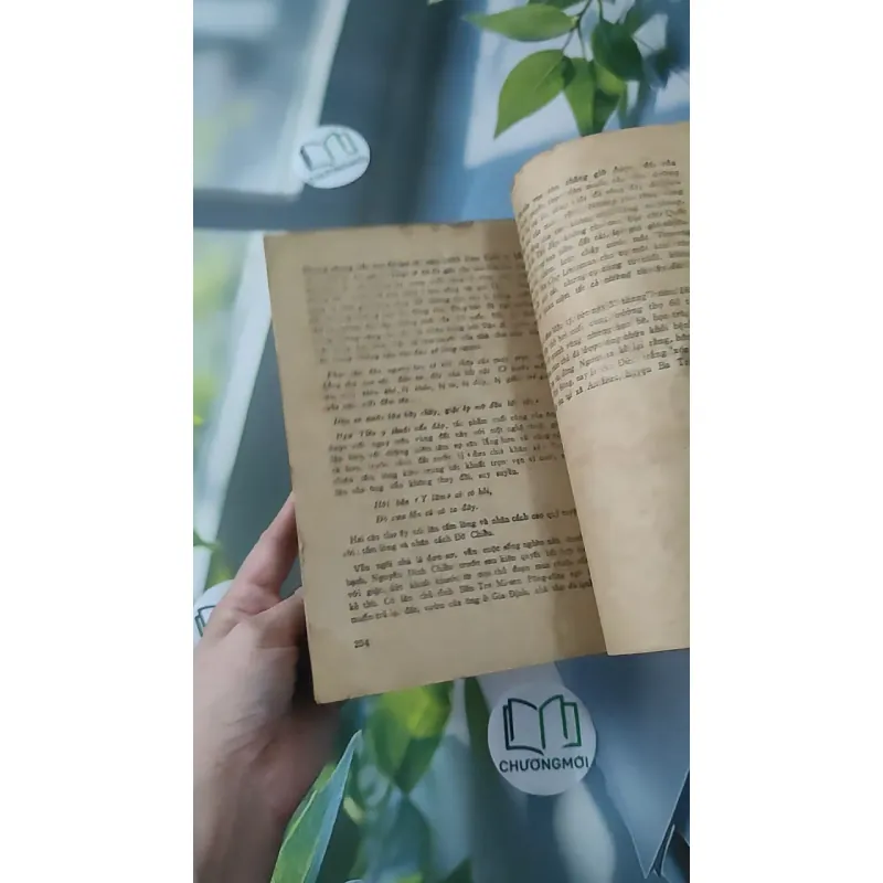 [MIỄN PHÍ BỌC SÁCH] [XƯA] Nguyễn Đình Chiểu Trong Cuộc Đời (1982) (1982) - Thạch Phương chủ biên 997844