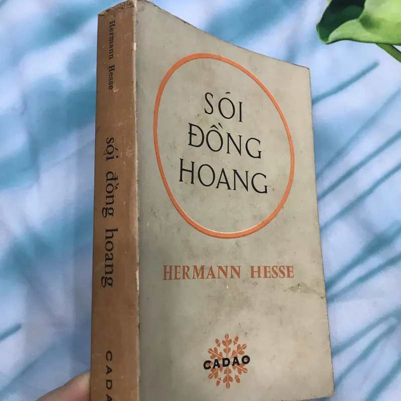Sói Đồng Hoang - Hermann Hesse 591247