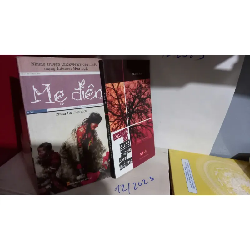 mẹ điên - trang hạ 729885