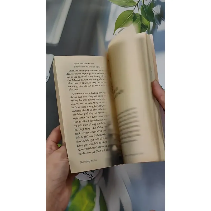 Nắng Muộn - Đậu Bảo 776107