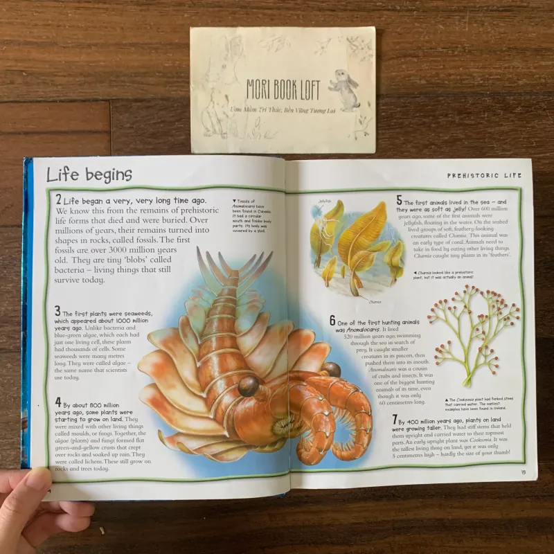Sách ngoại văn Over 1000 Fantastic Animal Facts, Used, Bìa mềm, Siêu dày 578057
