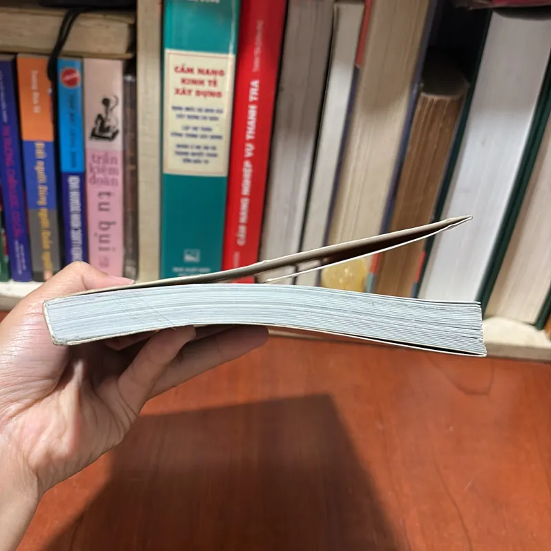 II Văn Học: Nếu Biết Trăm Năm Là Hữu Hạn - Phạm Lữ Ân - 2021 782244