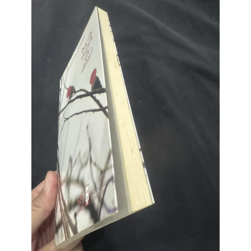 Ba ơi mình đi đâu? 1031880