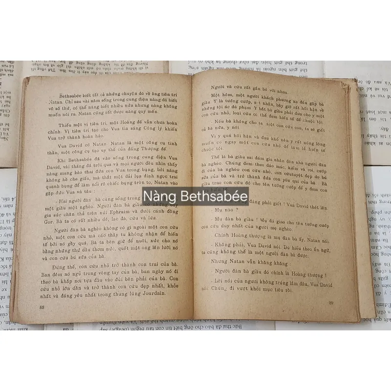 Tiểu thuyết Pháp: NÀNG BETHSABEE - Torgny Lindgren 717968