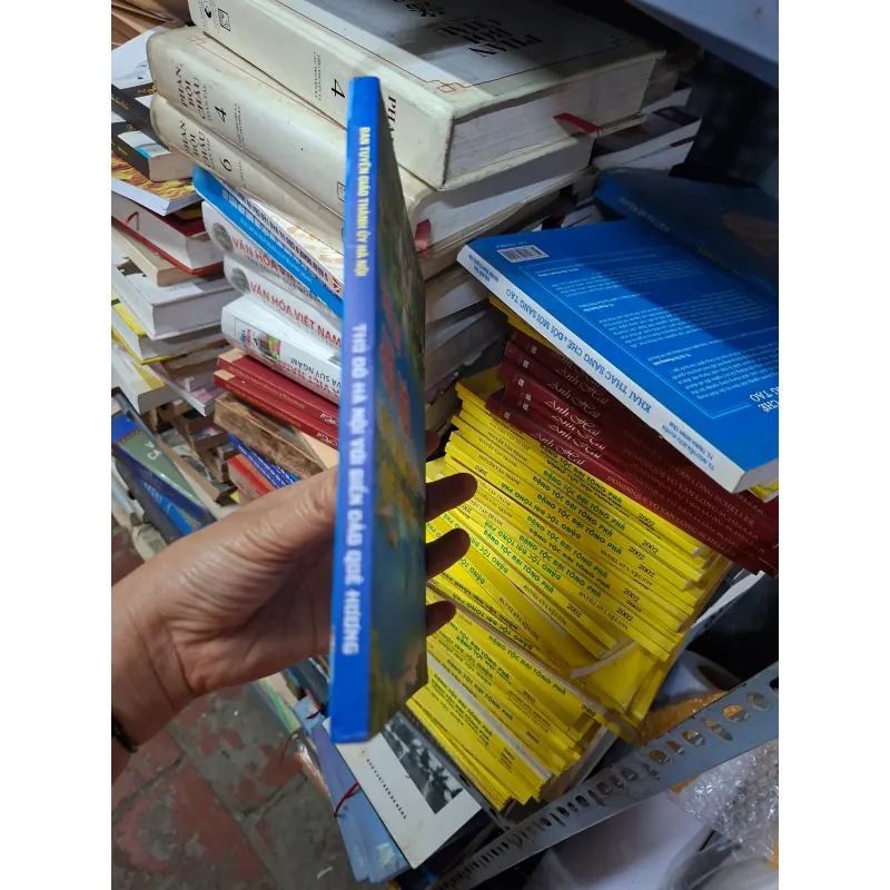 Thủ đô HN với biển đảo quê hương. 1001727