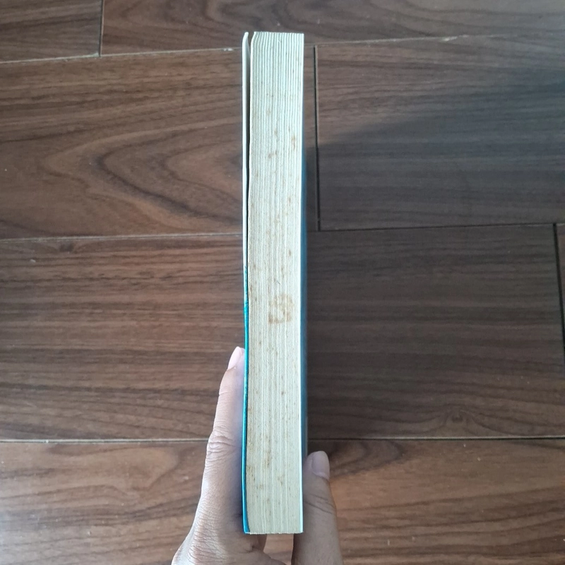 Nửa kiếp hồng trần một khúc du ca 508670