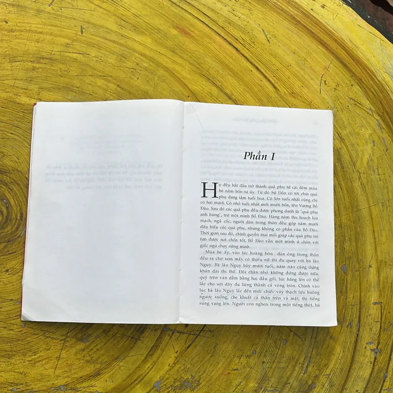 NGƯỜI QUẢ PHỤ THỨ 9 - NGHIÊM CA CẦM  796820