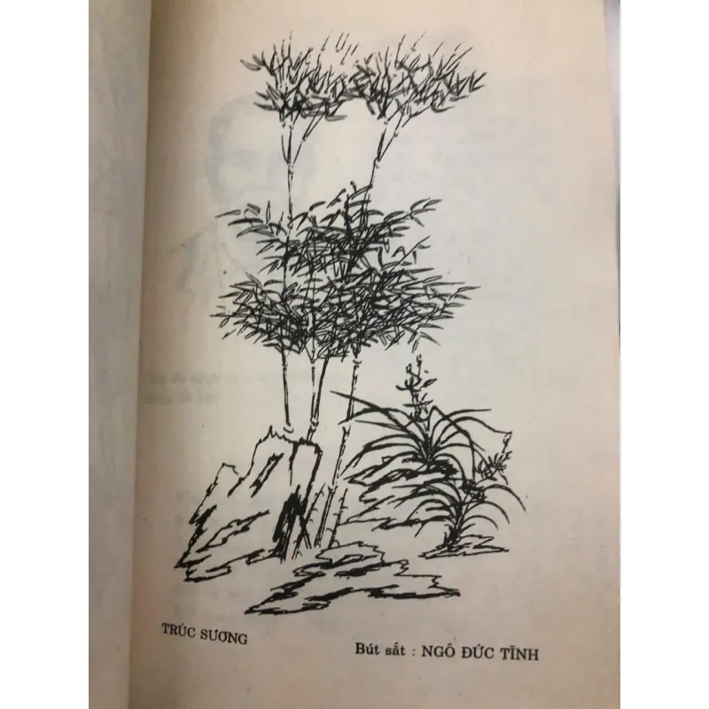 Trình Phố – Ngô Văn (Nhà xuất bản Văn học) 998489