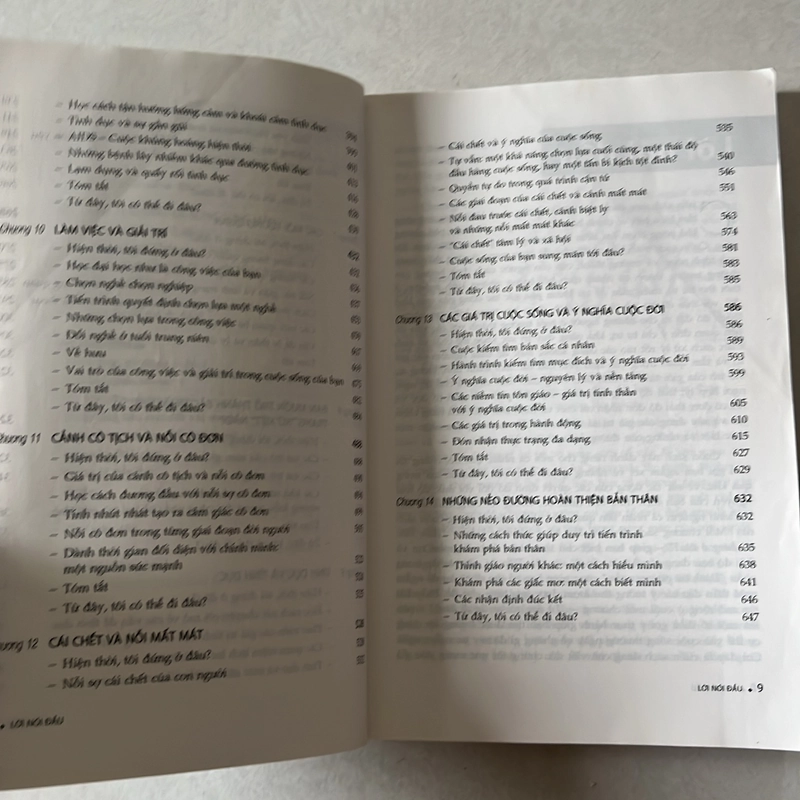 Bước đường lựa chọn cuộc đời - Gerald Corey 541249