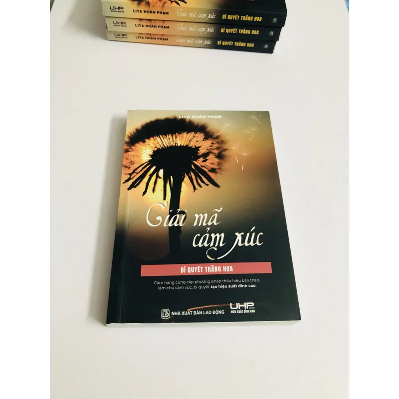 📚 GIẢI MÃ CẢM XÚC – BÍ QUYẾT THĂNG HOA (Lita Hoàn Phạm) 726091