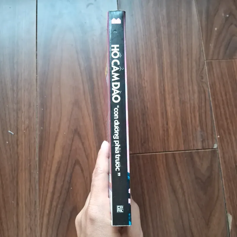 Hồ cẩm đào - con đường phía trước 593244