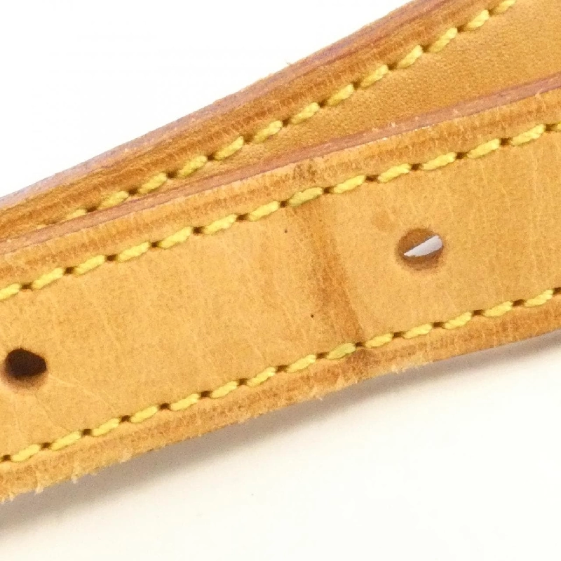 Túi xách vai Louis Vuitton Monogram Salony M42250 - Hàng hiệu Chính hãng 802097