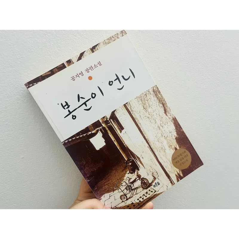 Ngoại văn tiếng Hàn 봉순이 언니 – 공지영 장편소설 1064522
