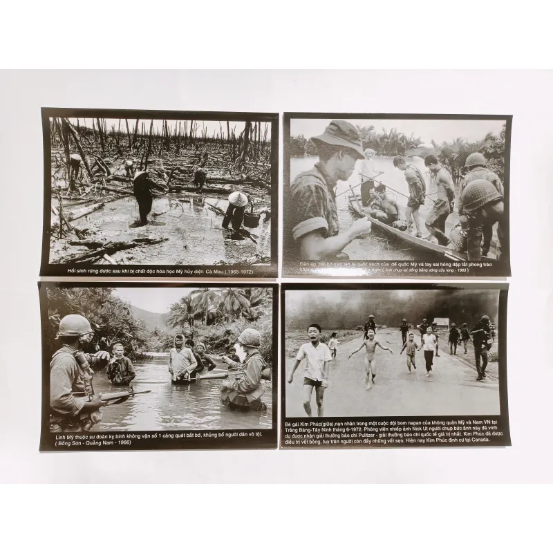 Album 17 Ảnh Sự Thật Về Chiến Tranh Việt Nam Những Hình Ảnh Biết Nói - Đoàn Công Tính 791117
