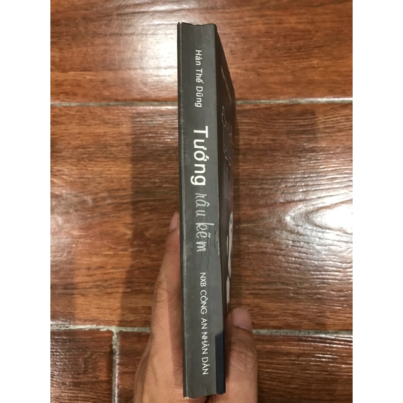 Tướng râu kẽm - Hàn Thế Dũng (9) 458709