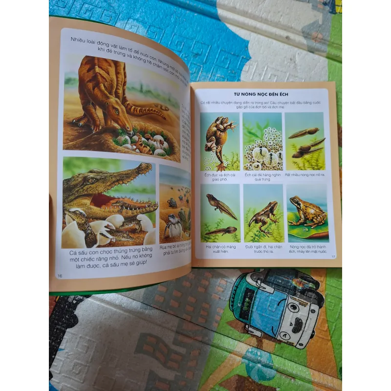 Thế giới hình ảnh của bé - Thế giới tự nhiên 975675