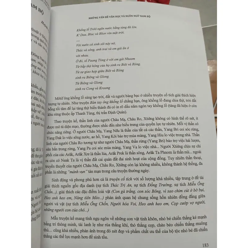 NHỮNG VẤN ĐỀ VĂN HỌC VÀ NGÔN NGỮ NAM BỘ 711741