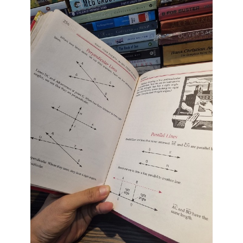 WHAT YOUR 4TH GRADER NEED TO KNOW : Fundamentals of a Good Fourth-Grade Education - E.D. Hirsch, Jr 160748