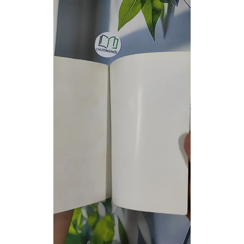 Tạp Bút Mạc Can - Mạc Can 798426