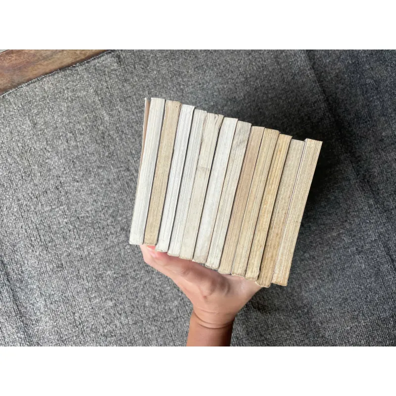 Truyện Ngọc Thô Tái Bản - Trọn Bộ 12 Tập - NXB Trẻ 787538