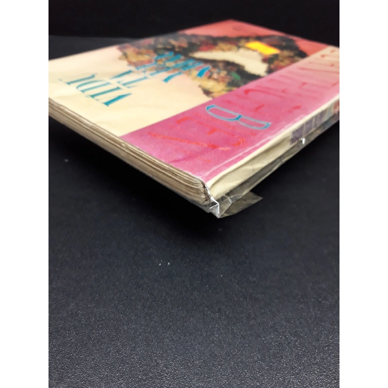 Ví Dụ Ta Yêu Nhau mới 80% ố vàng (có bọc) 1995 HCM0107 Đoàn Thạch Biền VĂN HỌC 916173