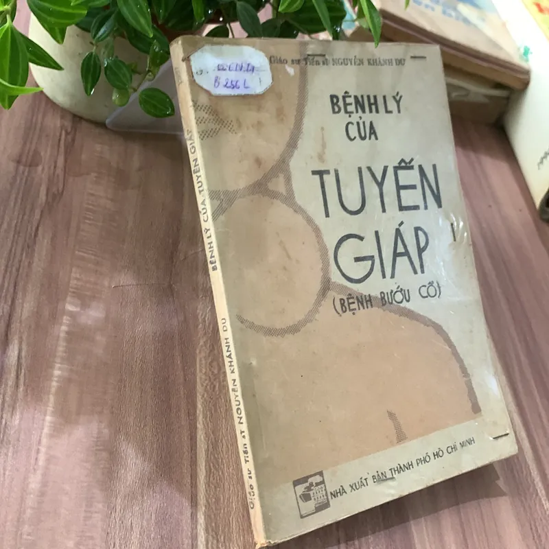 Dự phòng những tai biến trong thời kỳ thai nghén và sinh sản  622662