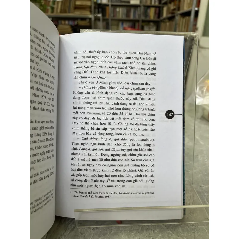 TÌM HIỂU ĐẤT HẬU GIANG & LỊCH SỬ ĐẤT AN GIANG - SƠN NAM 720196