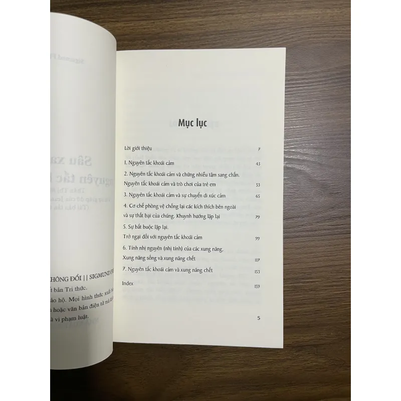 Sâu xa hơn nguyên tắc không đổi - Sigmund Freud 933812